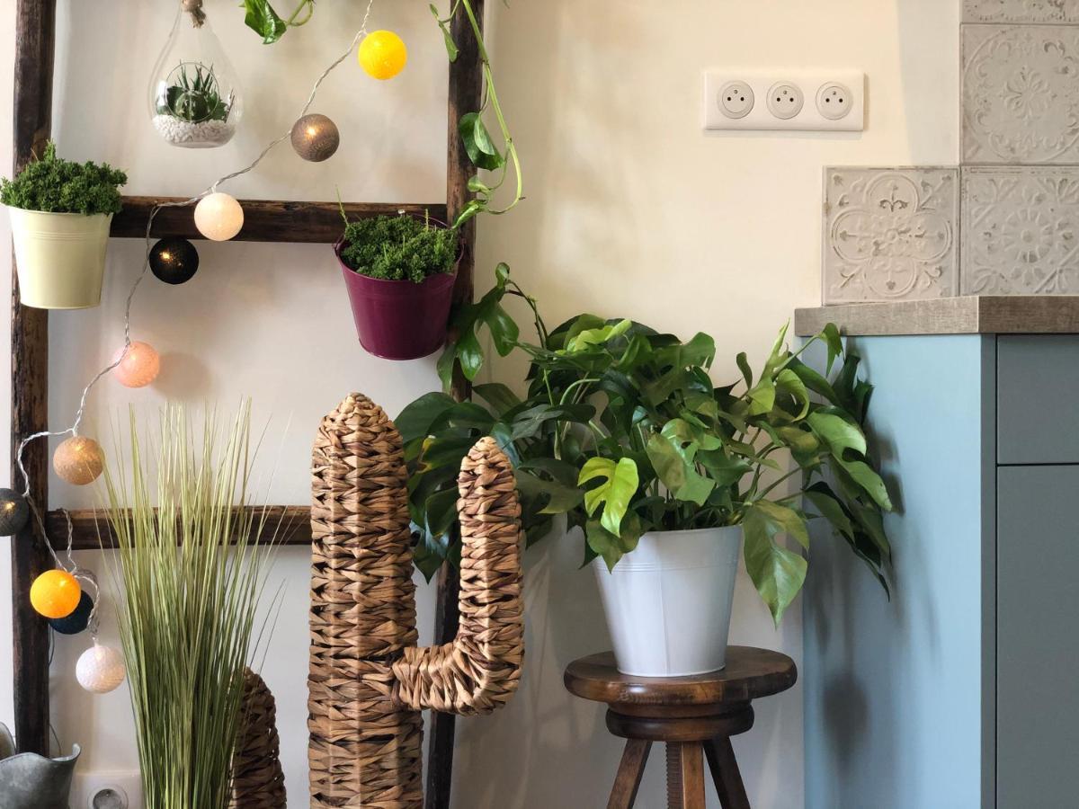 Appartement Centre-Ville Avec Terrasse Rustique Vannes Ngoại thất bức ảnh